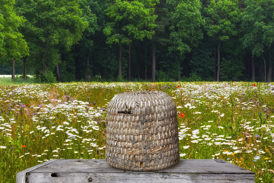 Bienenkorb im einer Blumenwiese