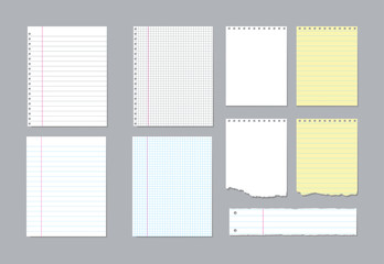 Set of different notebook pages and pieces of torn notebook paper. Vector illustration 