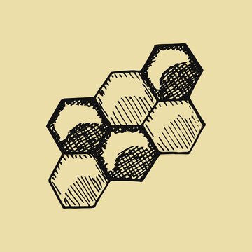 Bees Honeycomb Sketch