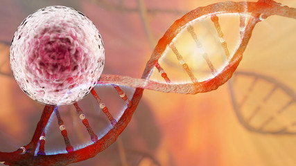 Stem Cells Research and DNA strand helix concept 3D rendering © catalin