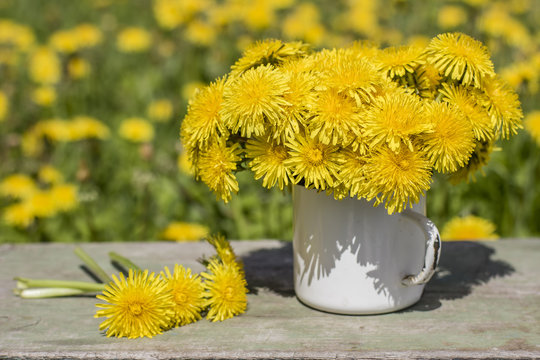 Fototapeta Bunch of beautiful yellow flowers of dandelion (taraxacum officinale) in an old enamel bowl stands on a wooden table against the background of meadows.