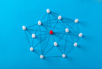 Network with pins