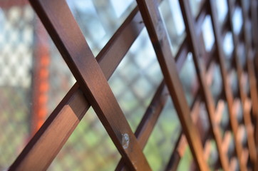 detail of an iron fence