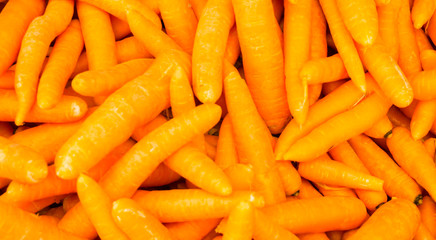 organic food carrot. background