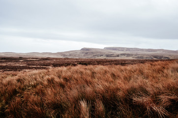 scottish meadow, isle of skye, scotland,