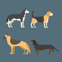 Funny cartoon dog character bread in flat style puppy pet animal doggy vector illustration.