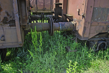 Old railway wagons in the grass