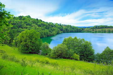 Obraz premium Summer water landscape with trees.
