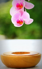 orchidée rose et bois,ambiance détente végétale