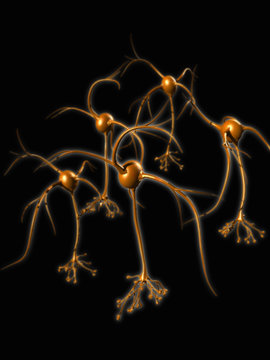 Computer graphic illustration of a neural network
