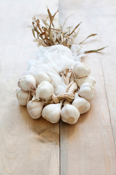 Cloves of fresh garlic
