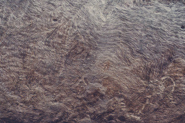 wood background texture
