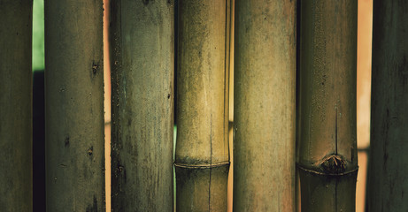 wood background texture