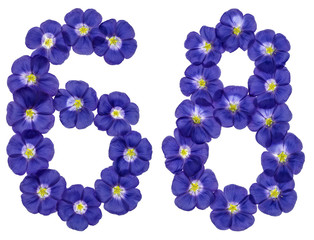 Arabic numeral 68, sixty eight, from blue flowers of flax, isolated on white background