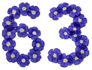 Arabic numeral 63, sixty three, from blue flowers of flax, isolated on white background