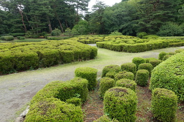 ６月の植物公園