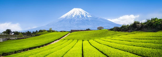 Crédence de cuisine en verre imprimé Mont Fuji Mont Fuji et champs de thé au Japon