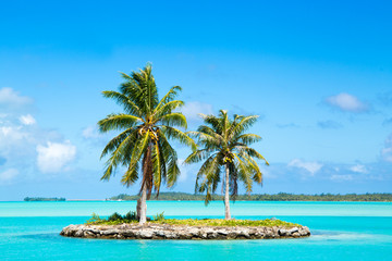 Traumurlaub auf einer einsamen Insel 