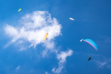vier Paraglider im Himmel 