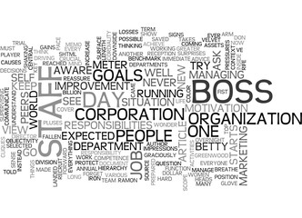 YOU VE BEEN NAMED BOSS NOW WHAT TEXT WORD CLOUD CONCEPT