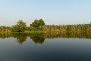 Fototapeta na wymiar Landscape with waterline, birds, reeds and vegetation, water reflexions, in Danube Delta, Romania
