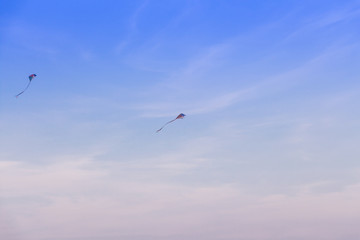 Two kites on dawn/dusk sky background.