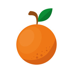 Orange citric fruit icon vector illustration graphic design