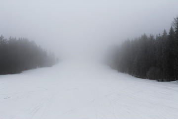 Ski slope surrounded by woods disappearing in the fog