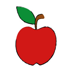 Apple fresh fruit icon vector illustration graphic design