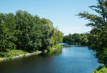 Fototapeta premium River with Trees on the Bank