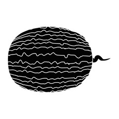 Watermelon delicious fruit icon vector illustration graphic design