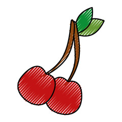 Cherries sweet fruits icon vector illustration graphic design