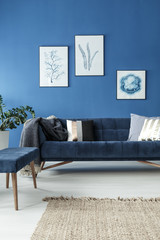Sofa in blue room