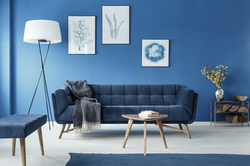Cyan living room with sofa