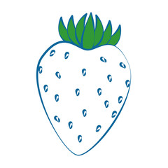 strawberry fresh fruit icon vector illustration graphic design