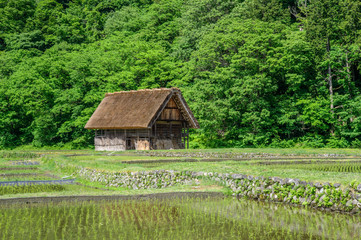 Historic Villages of Shirakawa-go and Gokayama in spring, travel landmark of Japan