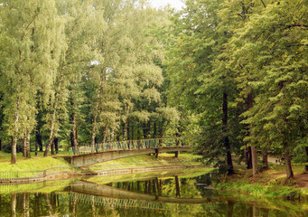 Landscape bridge over the river in the forest in summer