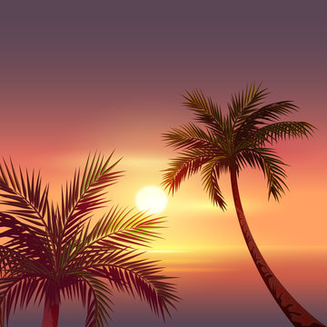 Sunset on tropical island. Black silhouette of palm tree in red sky