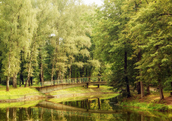 Landscape bridge over the river in the forest in summer