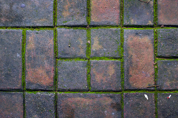 old brick floor texture. top view