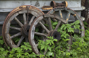 Fototapeta na wymiar Old wooden cart wheels on green grass