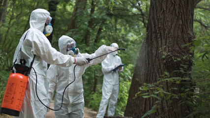 Three biochemists in woods discussing while treating trees with preservative.