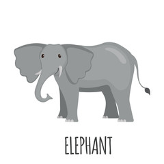 Fototapeta premium Cute Elephant in flat style.