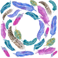 Feathers frame, watercolor feathers frame, feathers arrangement, invitation design, watercolor illustration, watercolor painting, beautiful hand painted watercolor feathers