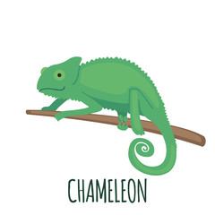 Cute green chameleon in flat style. - obrazy, fototapety, plakaty