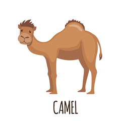 Cute Camel in flat style