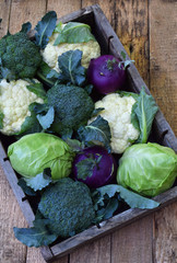 Composition from different varieties of cabbage on wooden background. Cauliflower, kohlrabi,...