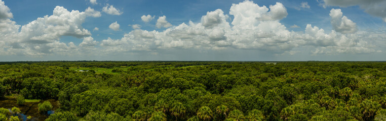 Fototapeta na wymiar Panorama of Myakka State Park in Florida from lookout tower