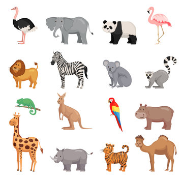 Set of animals of zoo
