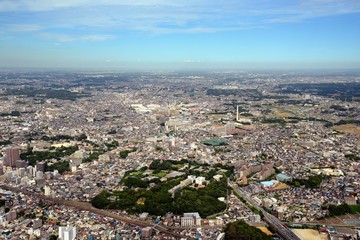 Obraz premium 千葉大園芸